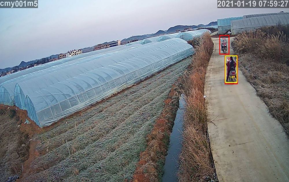 戶外草莓大棚監控系統安裝