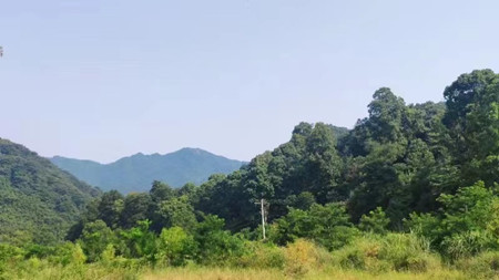 成都屢發高溫預警，成都萬全電子依然堅守在安裝第一線