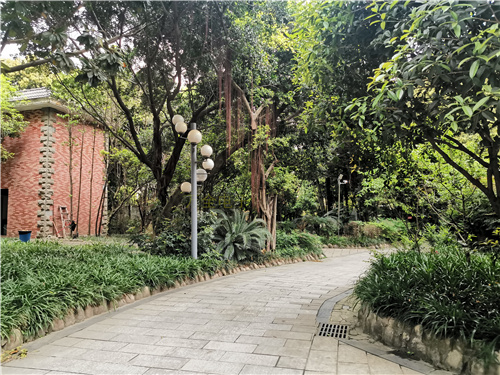 地下停車場、大型倉庫，如何解決大場景下的監控需求