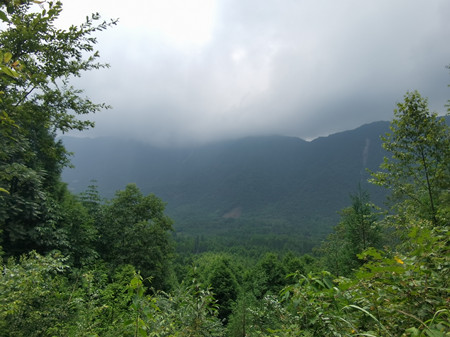 野外安裝監控攝像頭，在披荊斬棘中奮斗