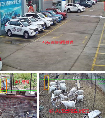 無電無網(wǎng)少人煙的野外，還想裝監(jiān)控系統(tǒng)？這不是空想