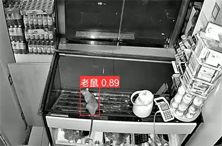 AI視頻監控能拍到老鼠？老鼠監控算法說可以