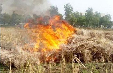 AI視頻監控系統|AI監控報警系統|農村安防|AI算法|防下水算法|火焰識別算法|防翻越算法