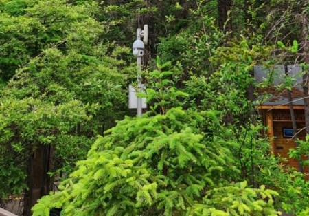 風景區內AI視頻分析報警系統有用嗎