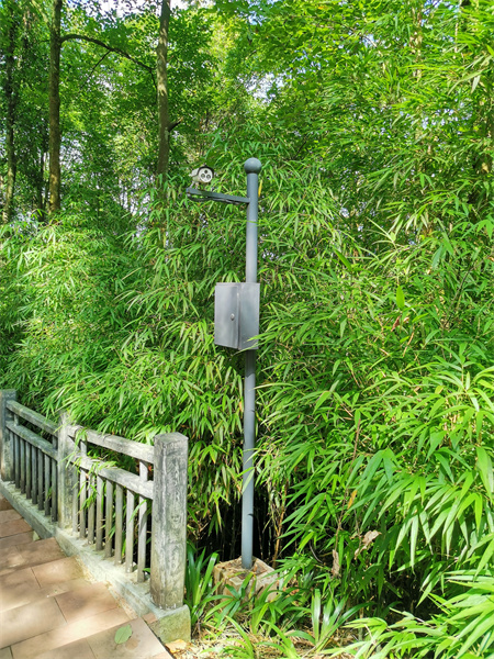 安防監控系統工程中的AI智能算法，可實現包括：人形識別、火焰識別、車輛識別、行為識別等一系列的AI智能識別算法