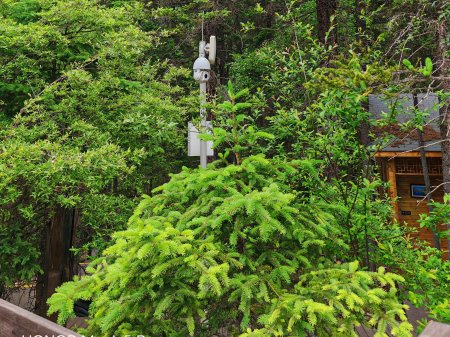 安防監控系統工程在景區中的使用情況