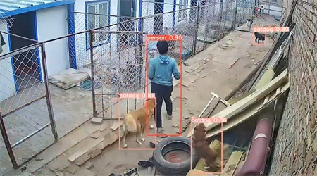 AI視頻監控|AI算法|智能養殖 AI視頻監控|AI算法|智能養殖